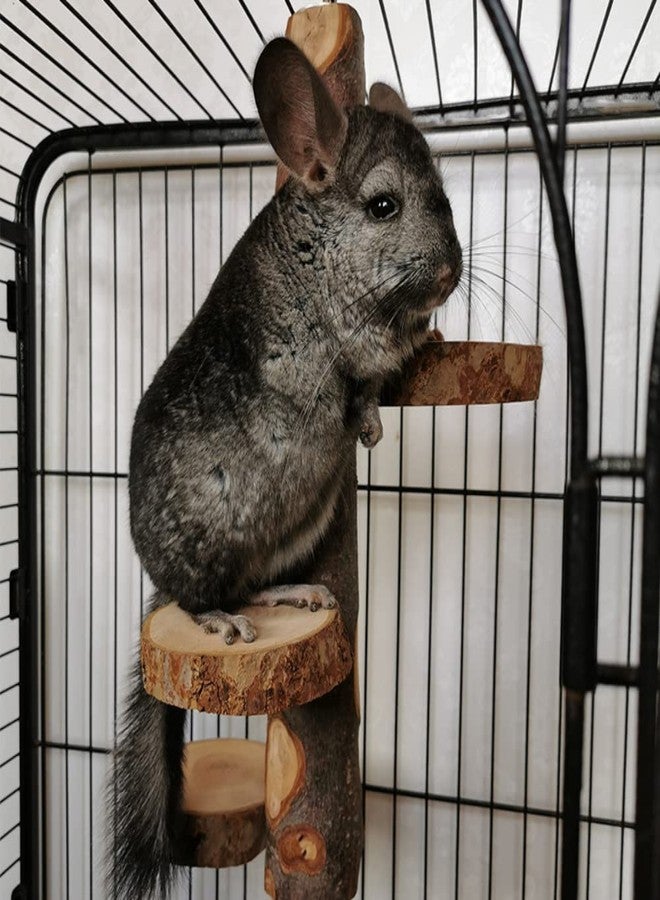 Barn Eleven Chinchilla Large Hanging Wooden Rotating Platform - Small Animal Natural Fruit Wood Standing Platform for Squirrels, Sugar Gliders & Birds - Image 3
